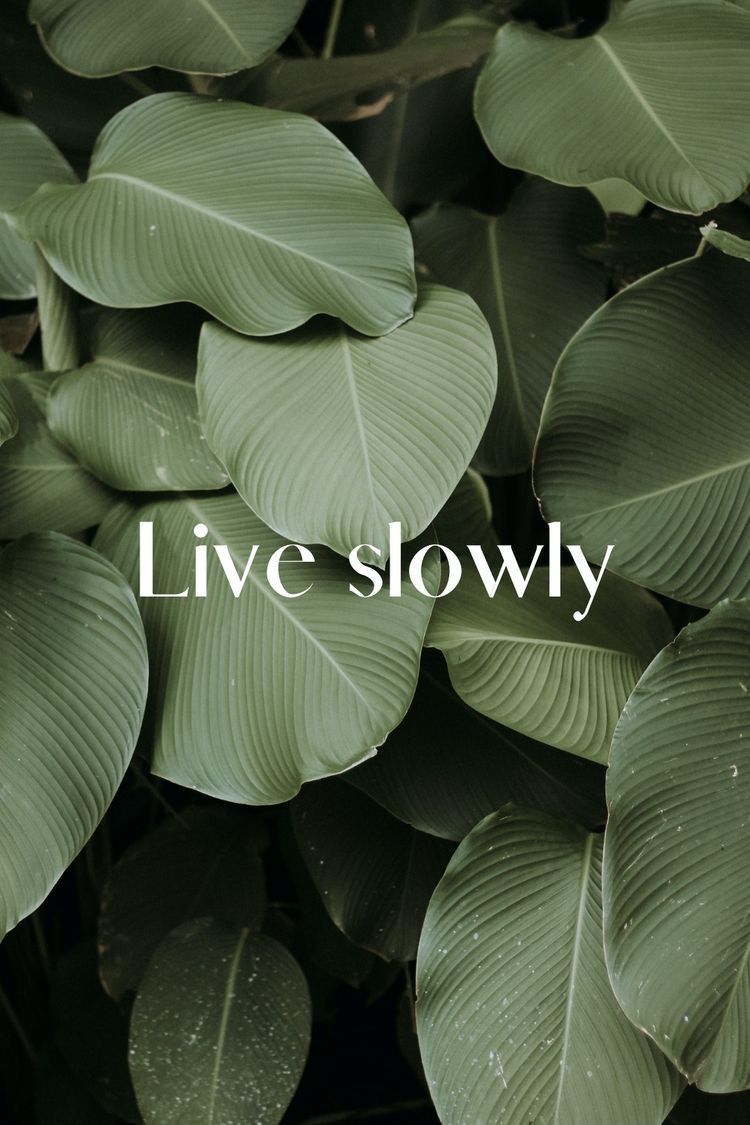 Two Formulas, Two Life Rhythms