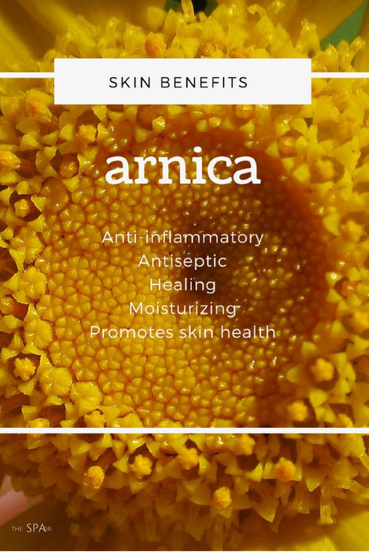 🌿 The Secret of Arnica: Why Athletes Trust This Natural Healer