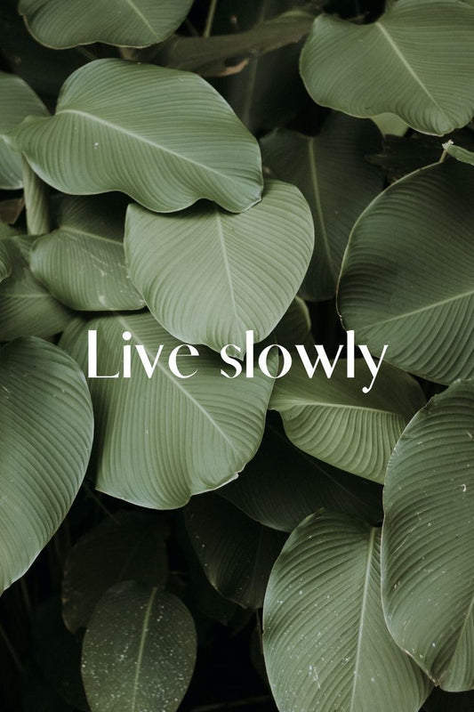 Two Formulas, Two Life Rhythms